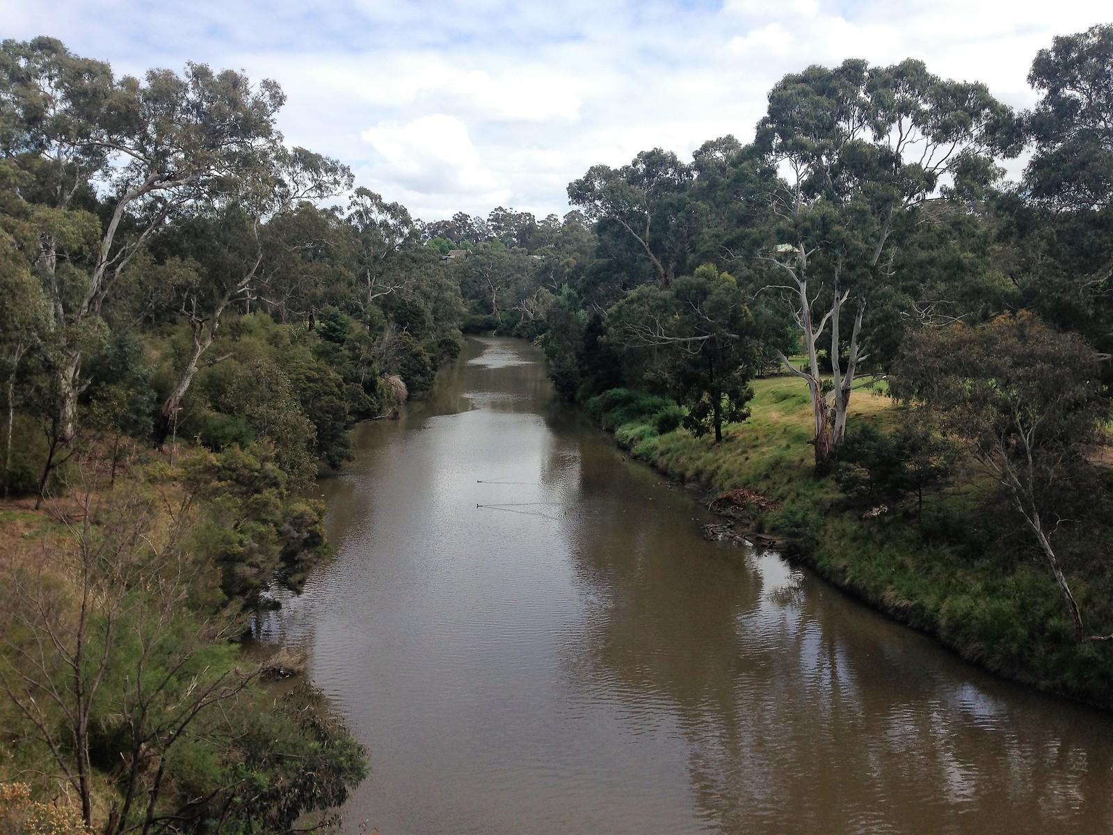 Workplace Wellbeing: Rights and Local Resources in Templestowe