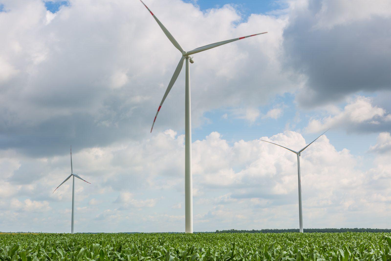 Hawthorn Implements 100% Renewable Power, New Waste Rules This October