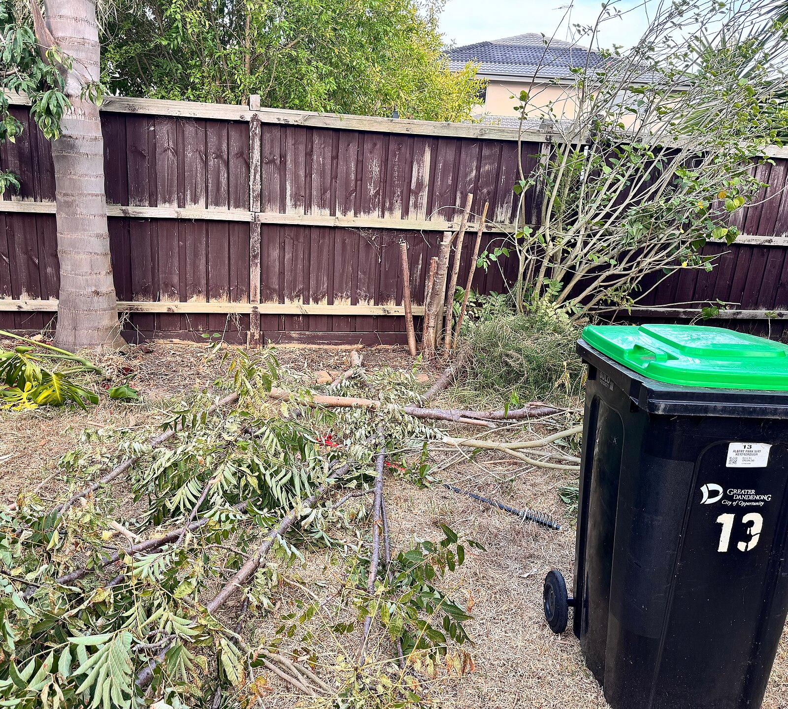 Tree fall in Narre Warren, Australia, VIC