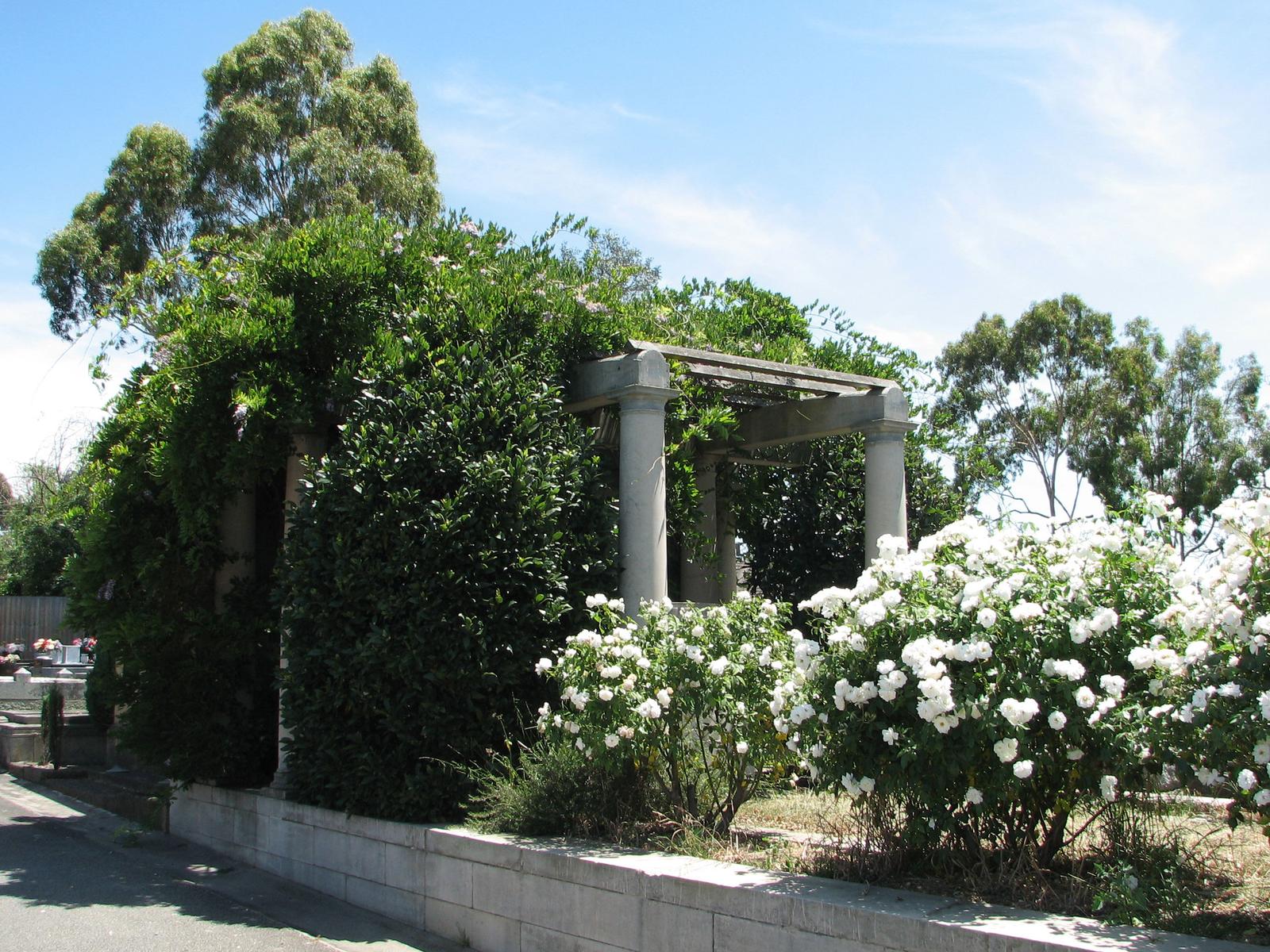 Box Hill Boosts Community Services With Enhanced Resource Access