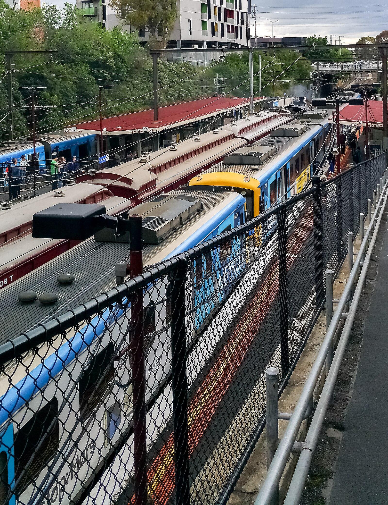 Trains at Moorabbin b