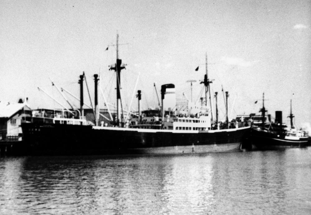 StateLibQld 1 169619 Heidelberg (ship)
