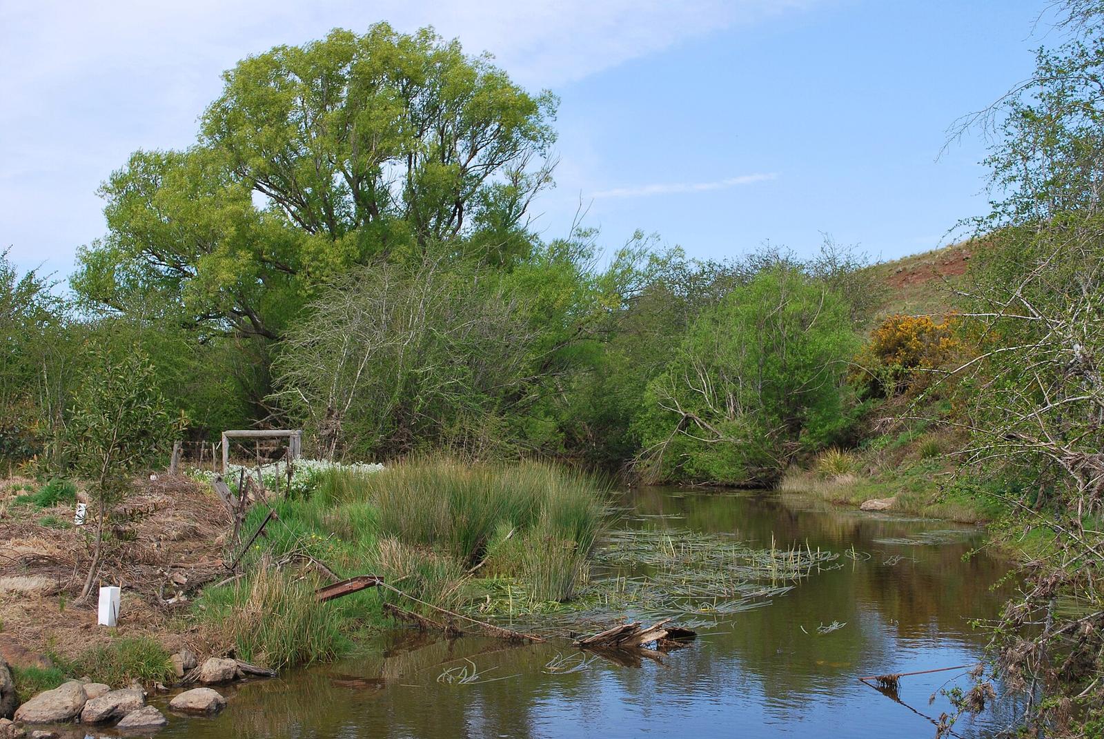 Ballan Werribee River