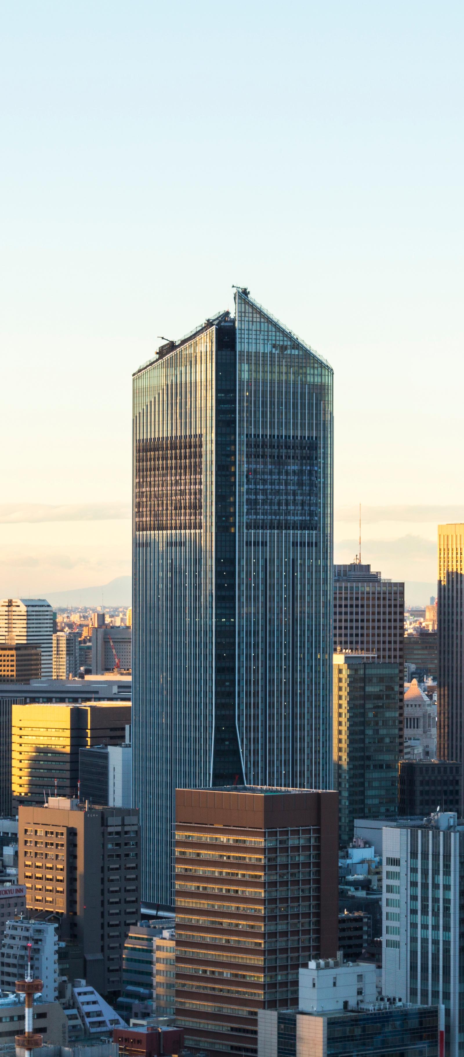Tokyo's Tumble and a Golden Retreat Cast a Shadow Over Templestowe's Investment Landscape