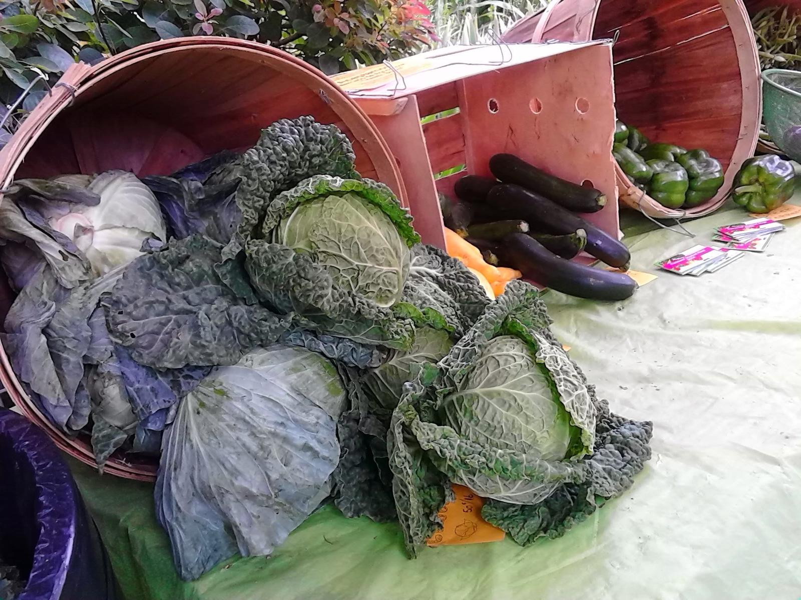 Urban Farmers' Market Display.
