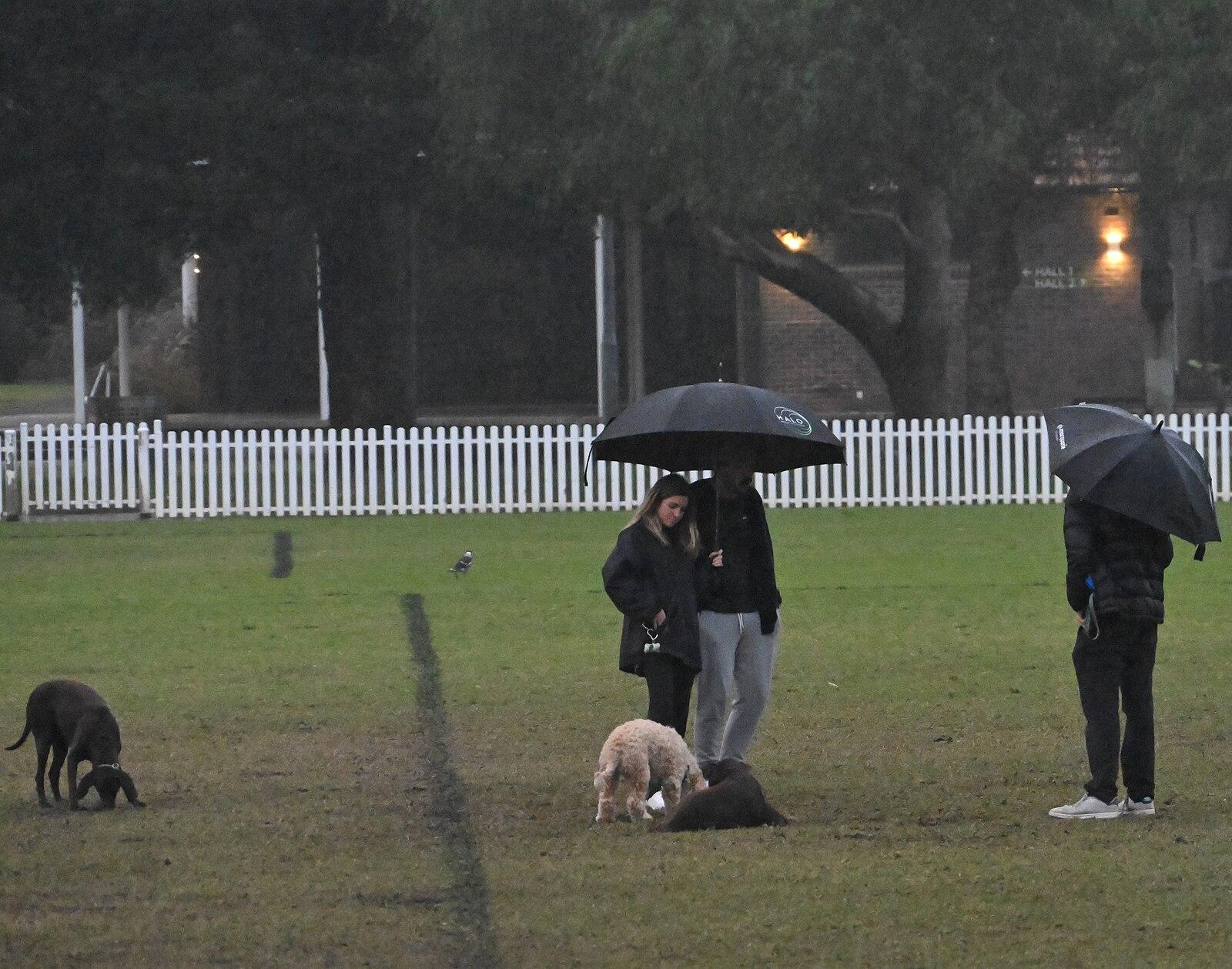 Kensington Park oval 001a