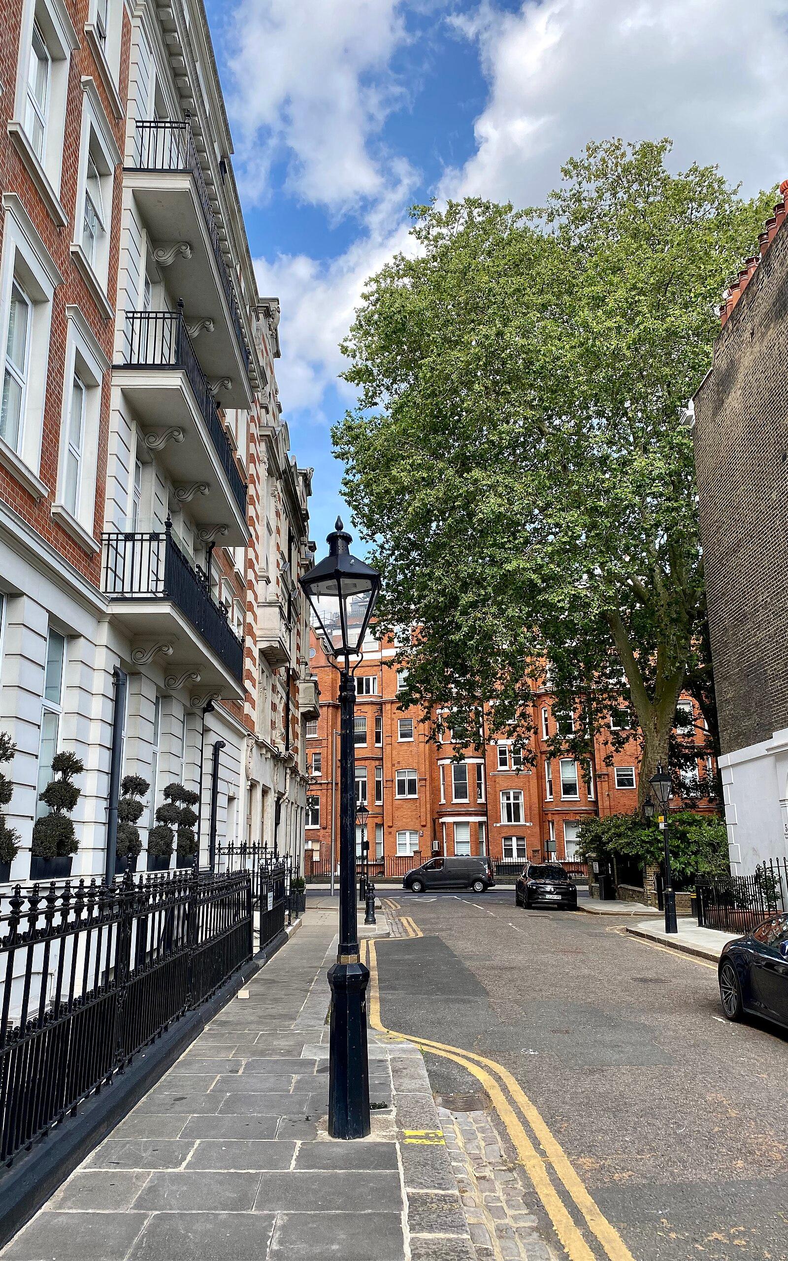 Lamp post on North Terrace, South Kensington, July 2023
