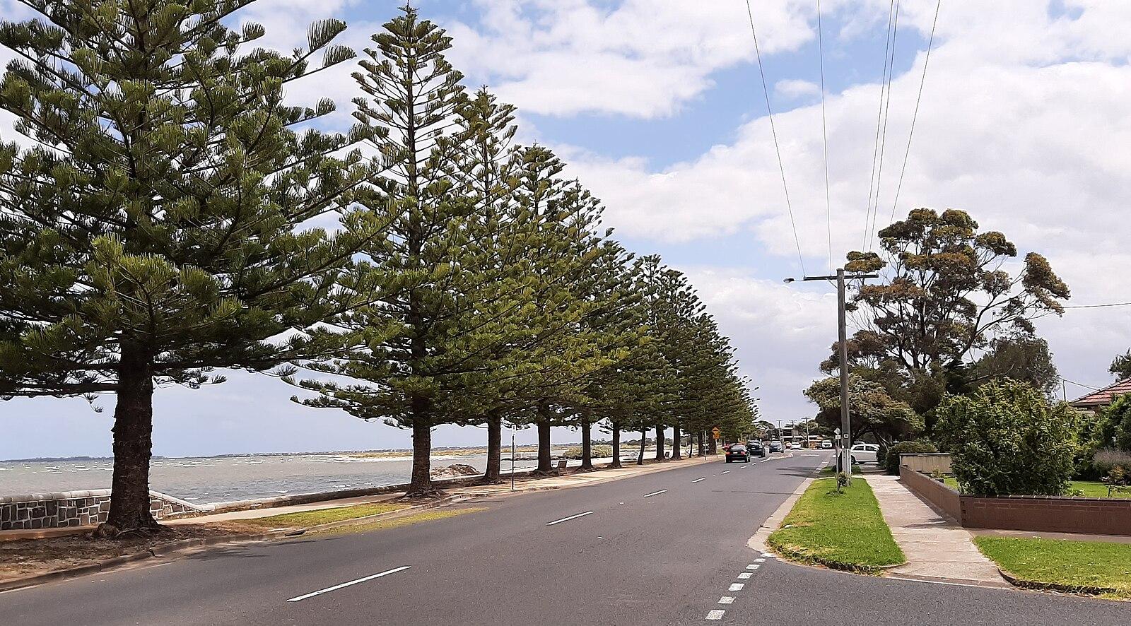 City of Altona