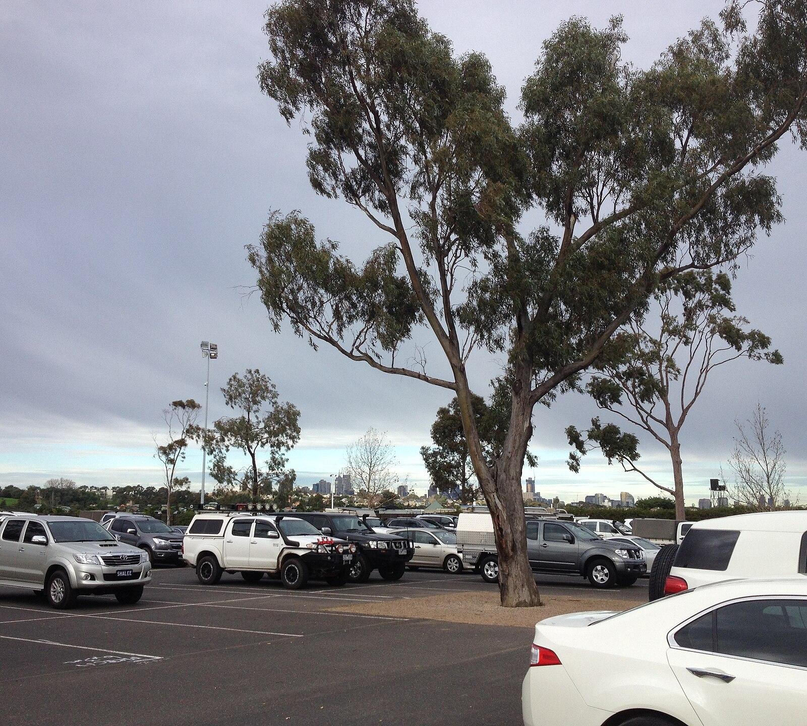 Flemington Racecourse car park 2014 06 20 004