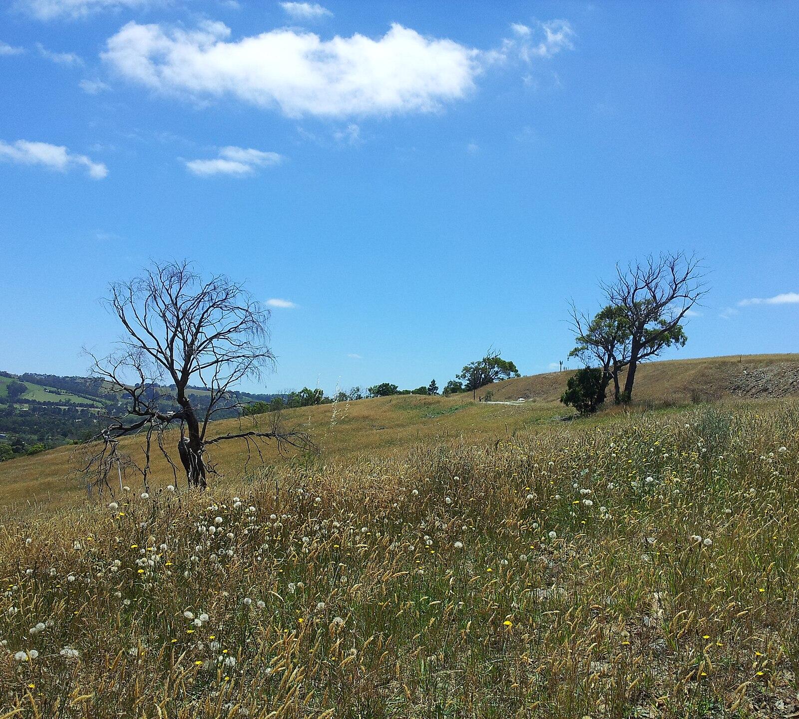 Facing North Northeast along the Pakenham Hillside panoramio