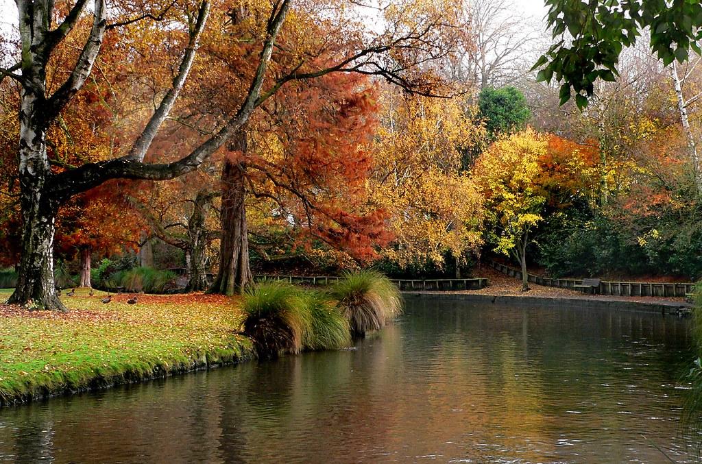 Officials Experts and Key Figures Address Albert Park Developments