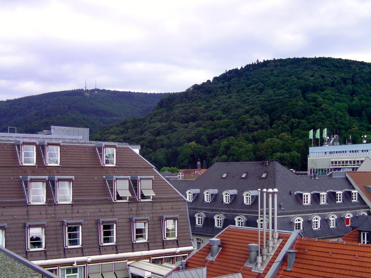 Heidelberg Stadtteil Bergheim BILD0962