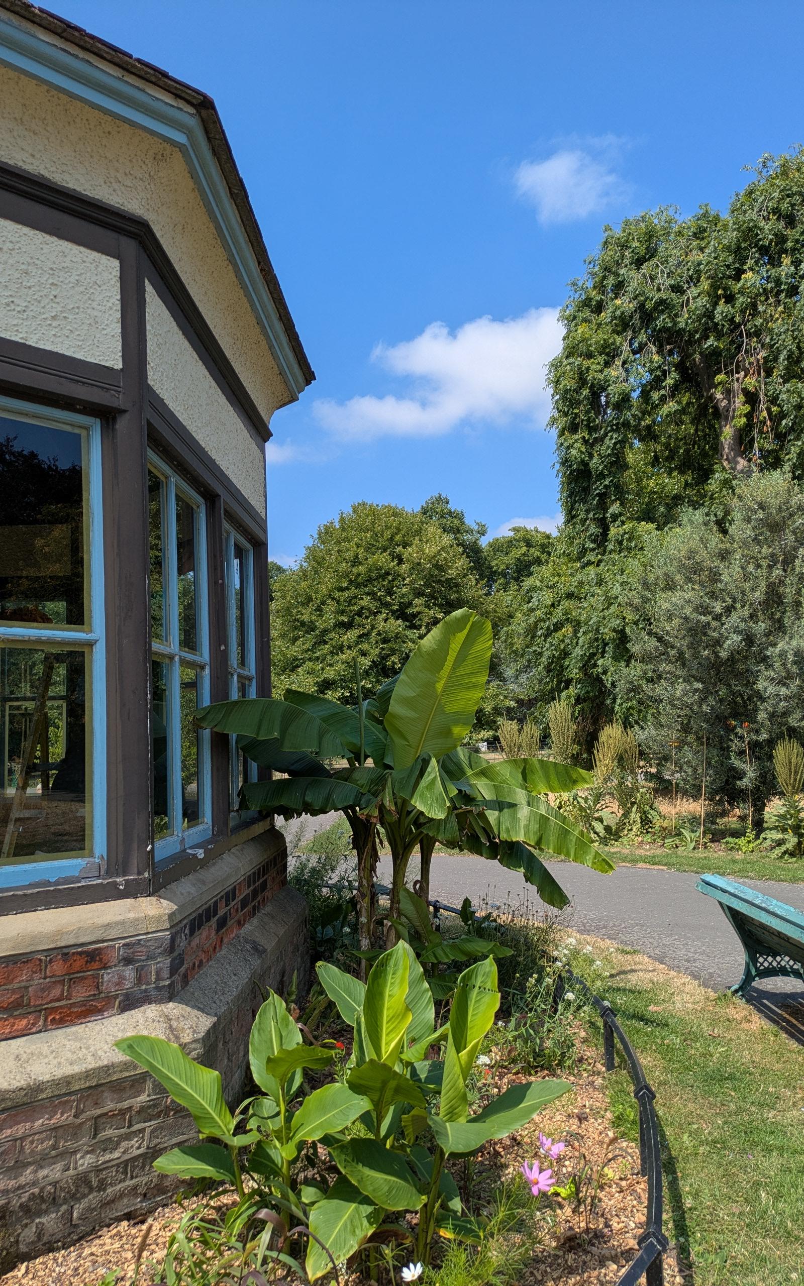 Roundhouse and banana trees? 54652495044