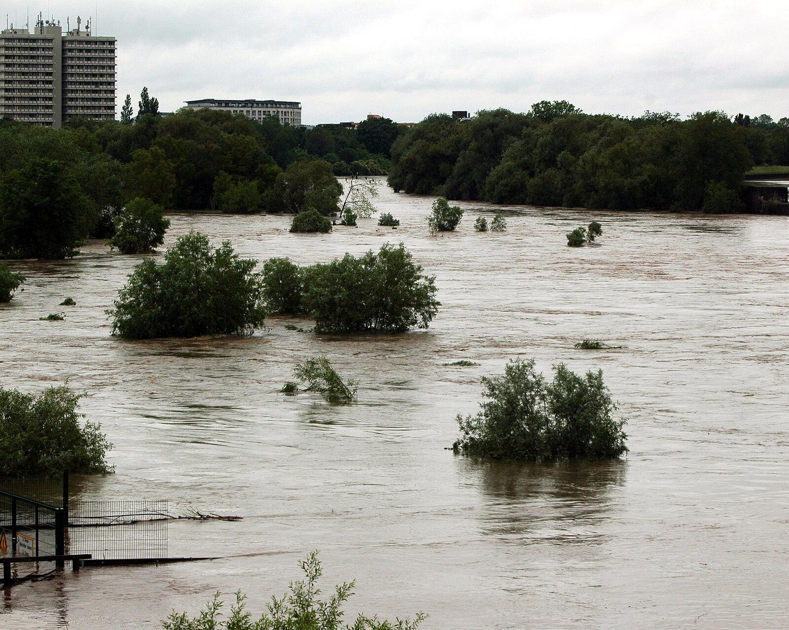 Heidelberg Bergheim Neckar Hochwasser 2016 05 30 11 39 42