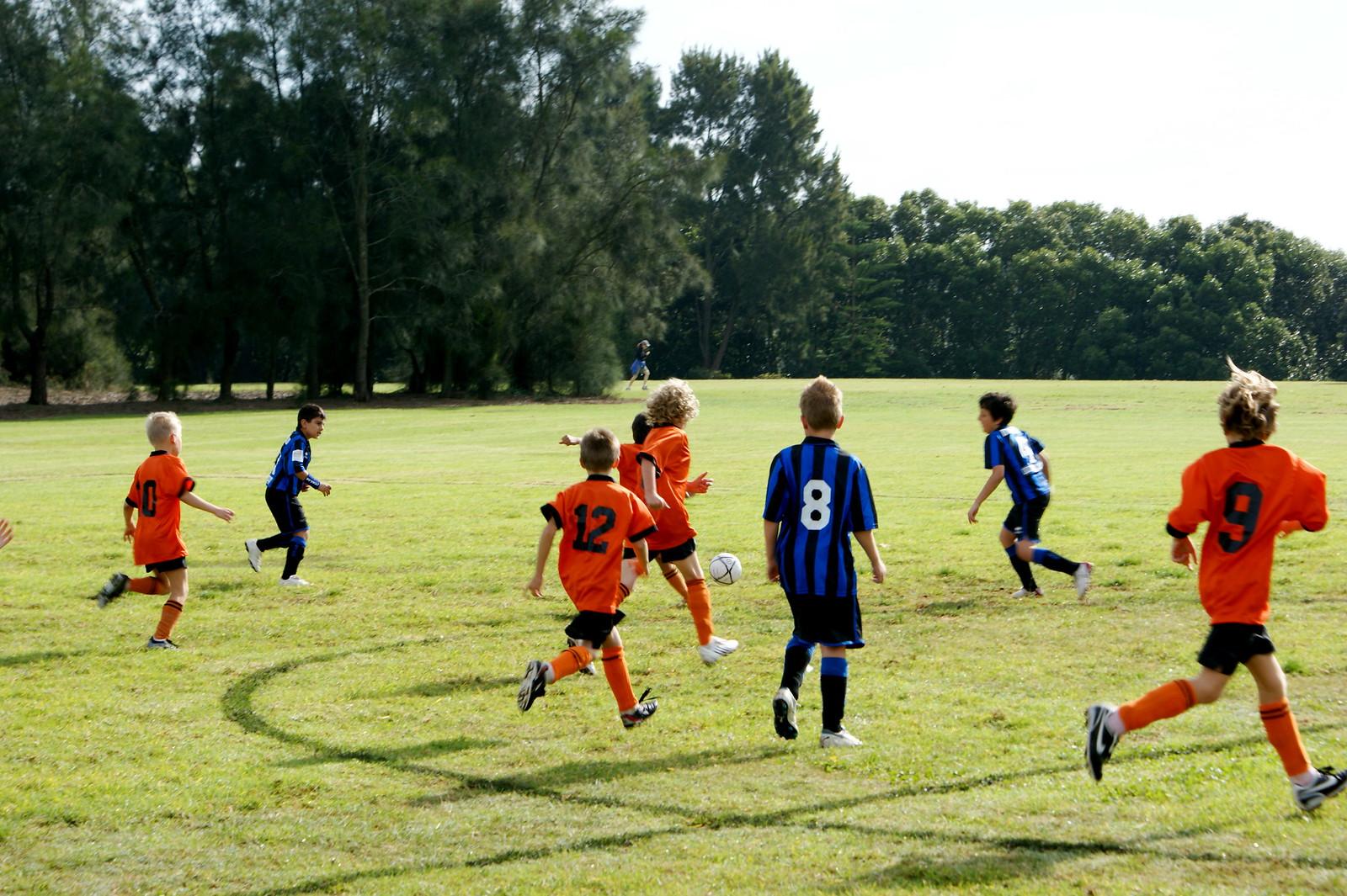 Broadmeadow Magic Climbs Northern NSW NPL Through Grassroots Expansion