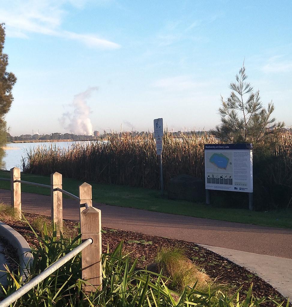 Altona Business Community Eyes Changing Market Currents Amid Global Uncertainty