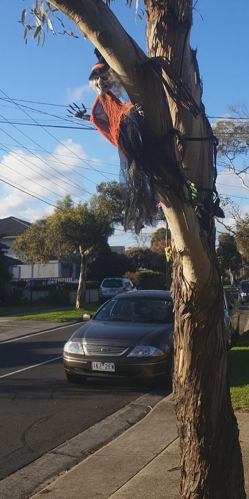 Altona Renters Buy Investment Properties While Staying in Prime Rental Spots