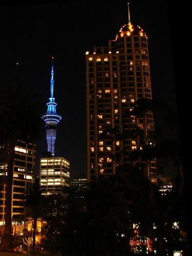 Local Leaders and Experts Weigh In on Albert Park Infrastructure Plans