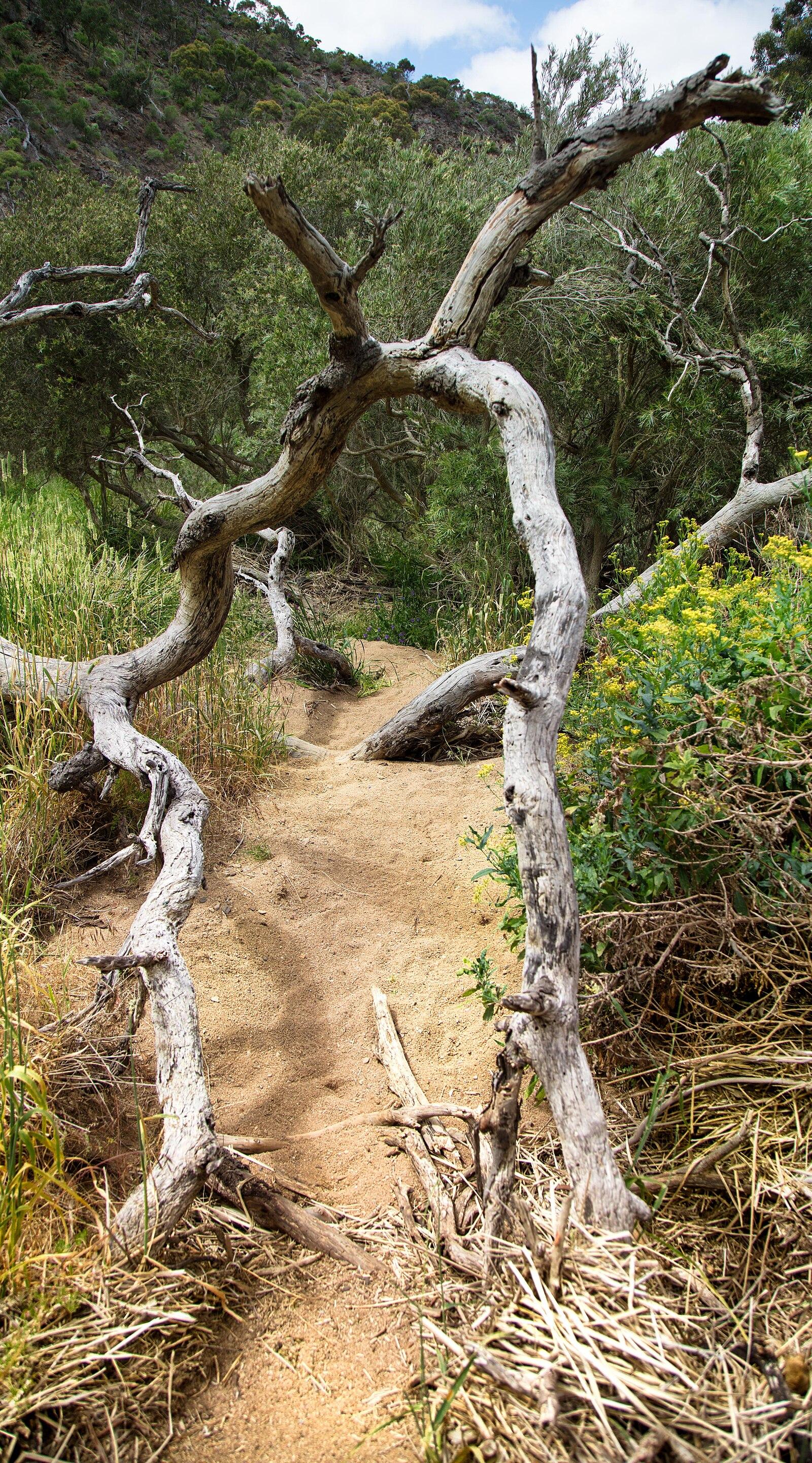 Werribee Gorge State Park