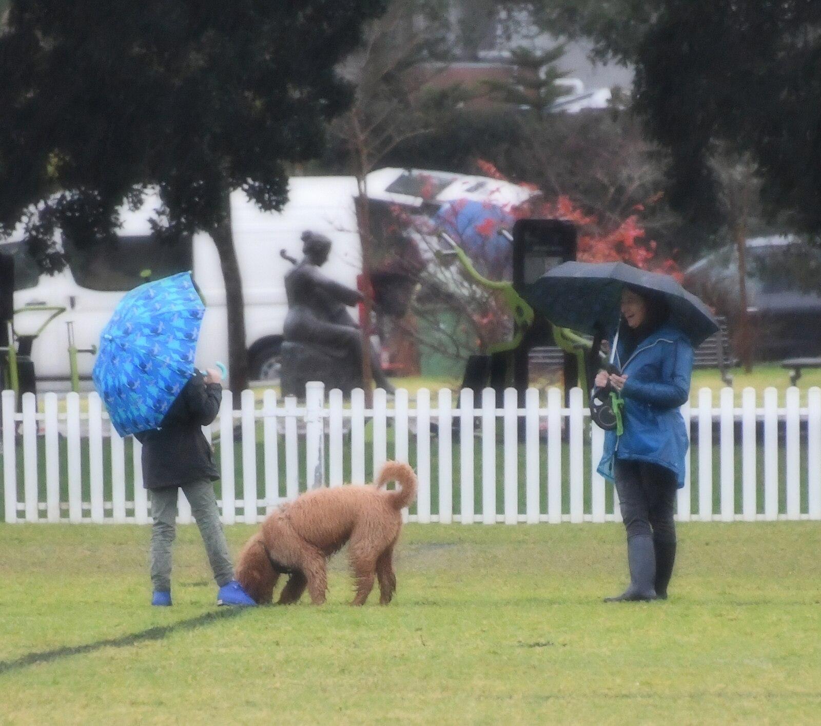 Kensington rain 001a