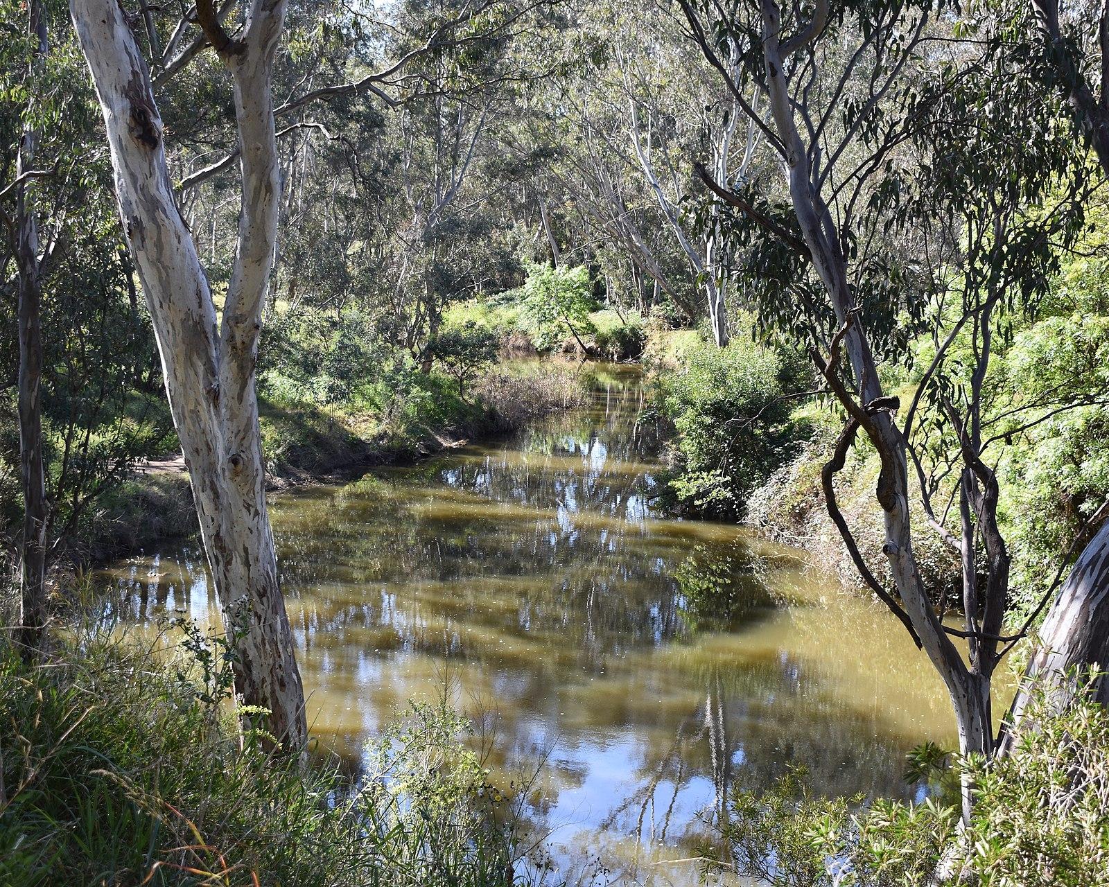Keilor Maribynong River