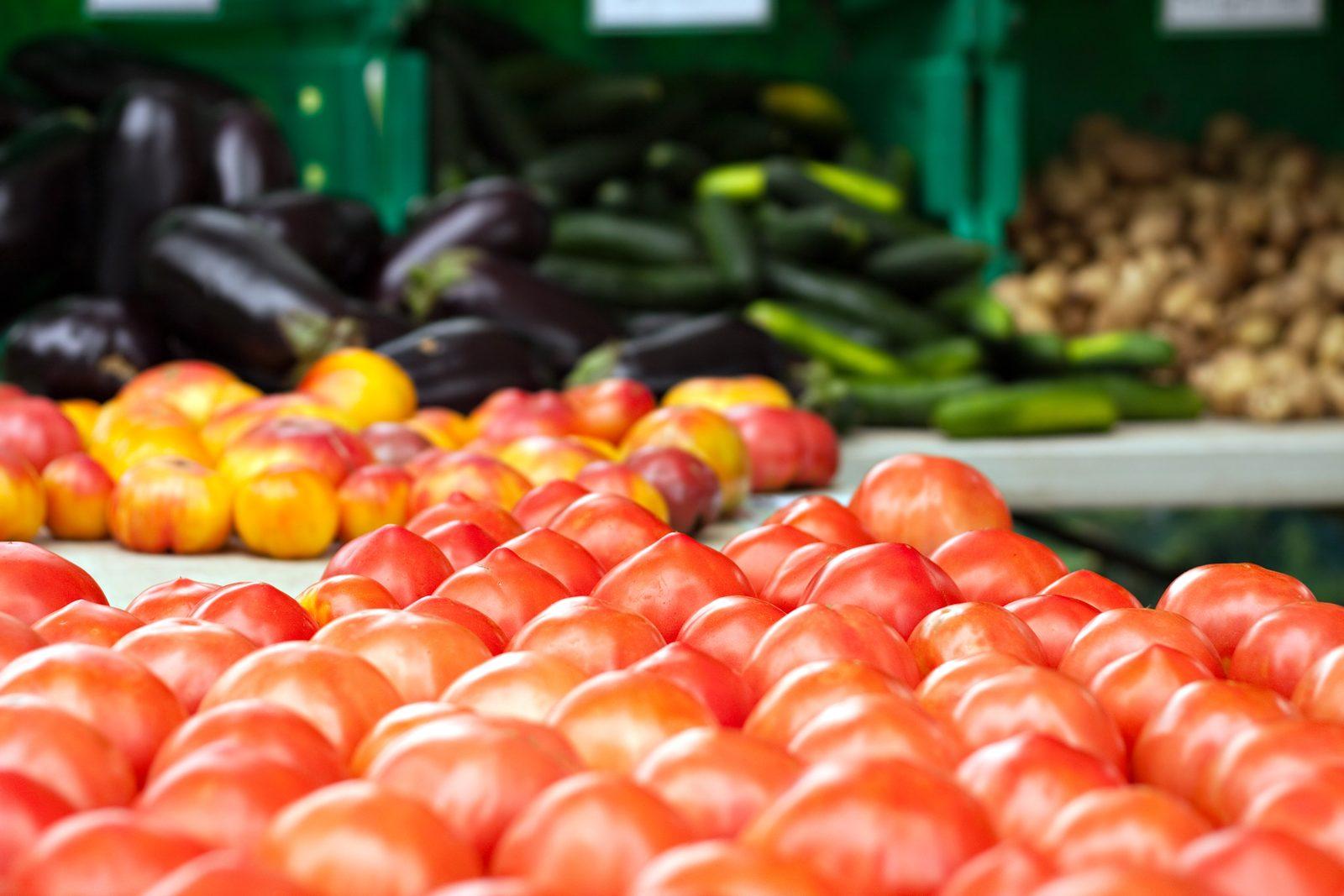Berwick Gardeners Discover 5 Sustainable Practices for Year-Round Success