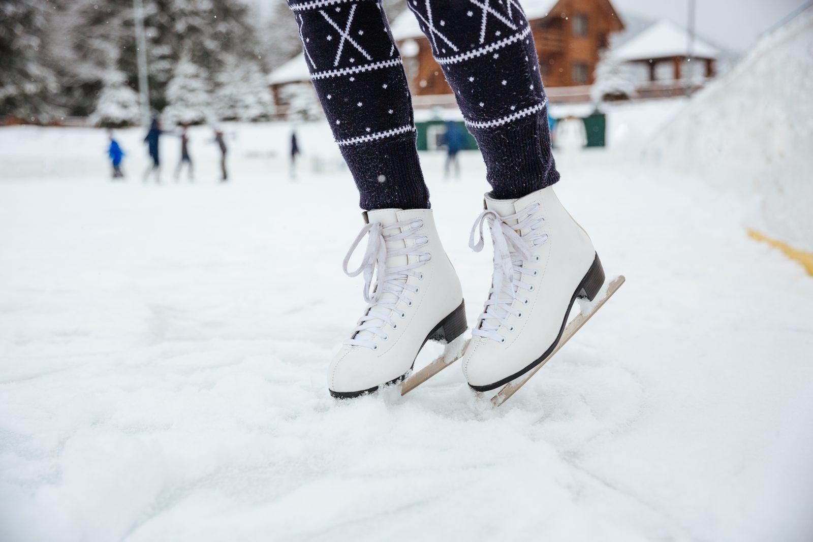 Cranbourne Launches Winter Activities Guide: Gardens, Markets, Indoor Venues