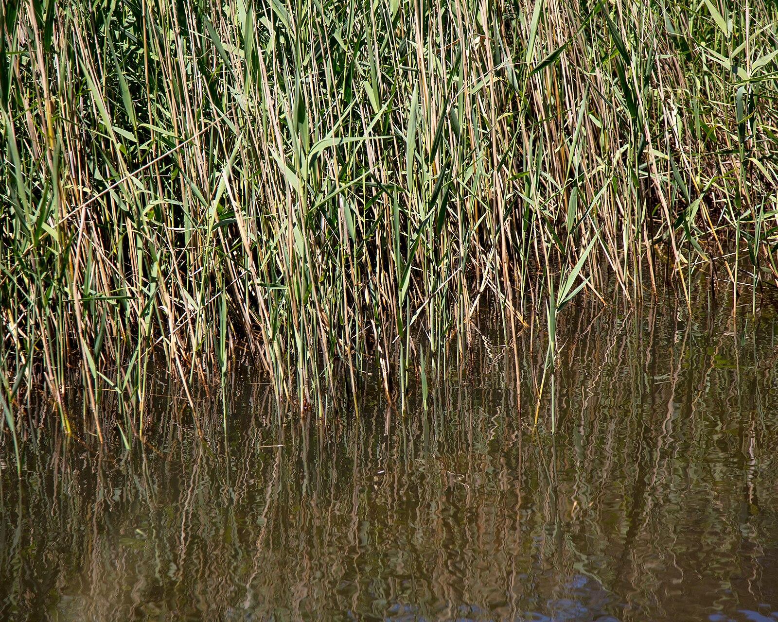 Werribee Gorge State Park