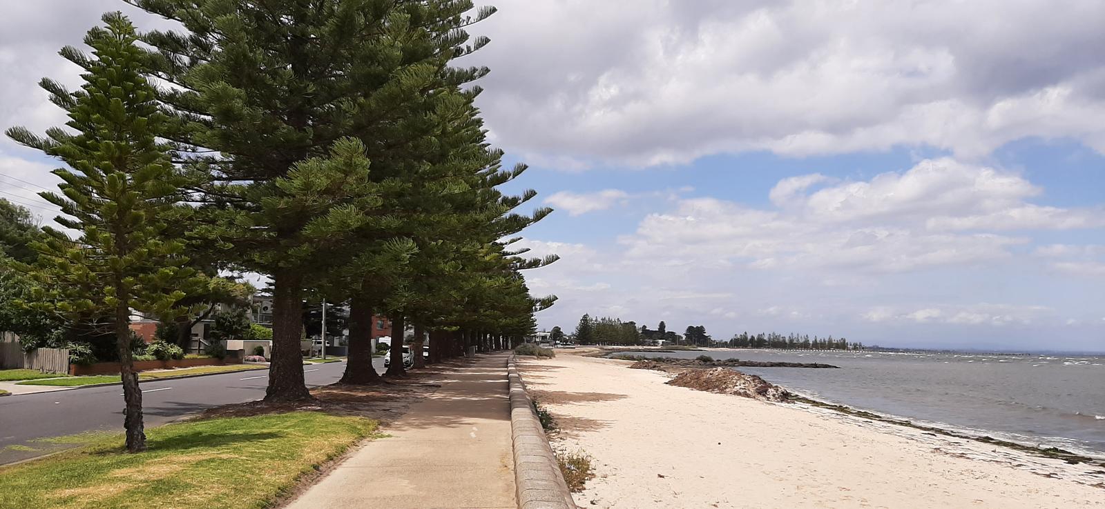 Altona's Top 5 Sunrise Spots Transform Morning Yoga and Meditation
