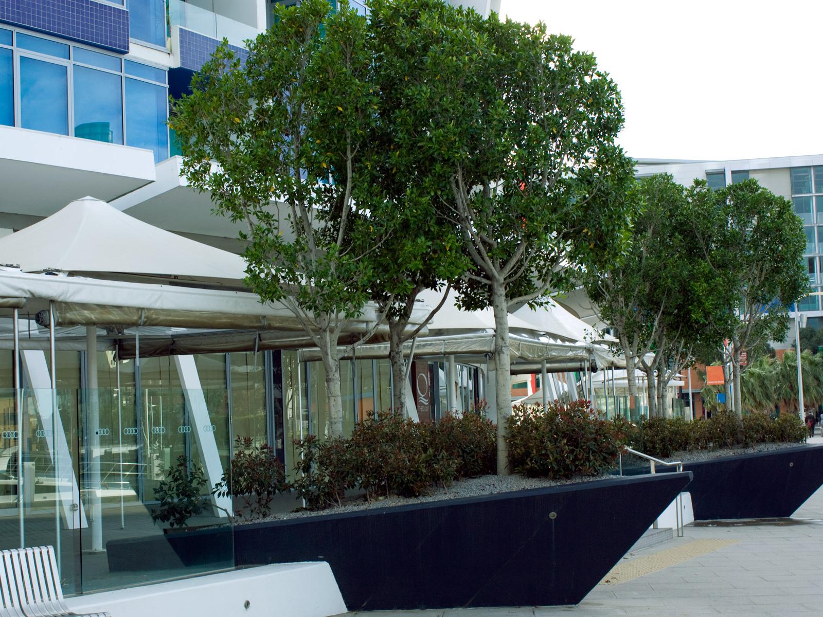 Boat Shaped Planters, New Quay at Docklands, Melbourne Australia