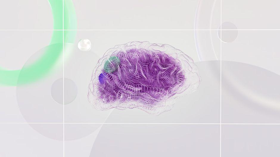 Mindfulness Rewires Brains: Dandenong Wellness Community Discovers Proven Neural Benefits